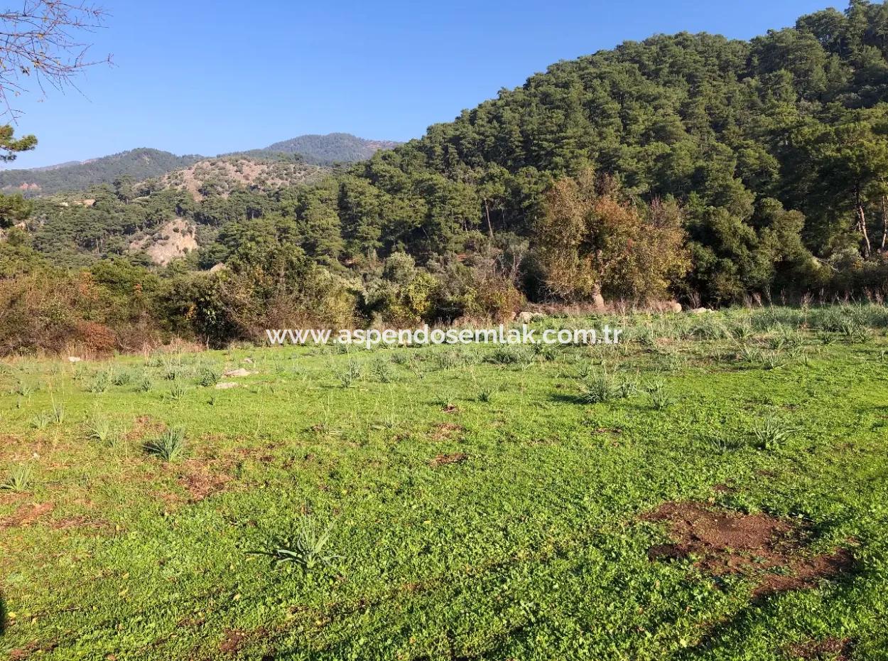 Ekincik Land For Sale 10,038M2 Land For Sale Field