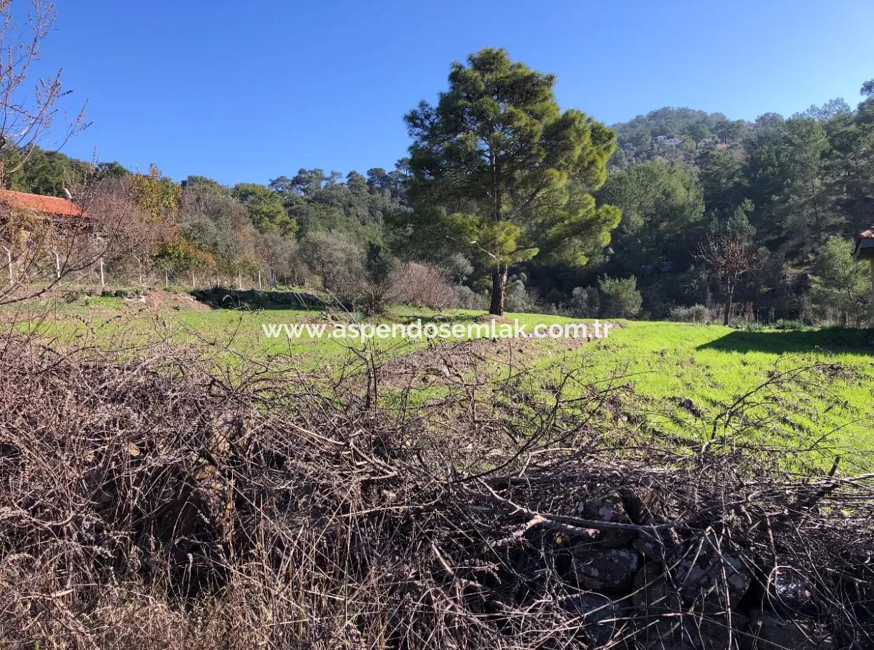 Gokbel Land For Sale 8000M2 Land For Sale With Full Sea View