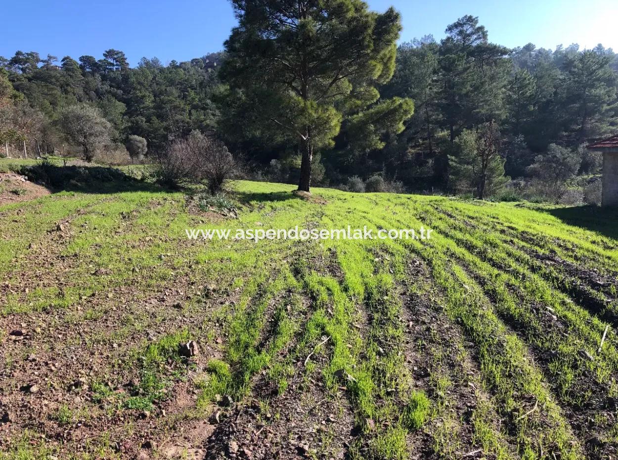 Gokbel Land For Sale 8000M2 Land For Sale With Full Sea View