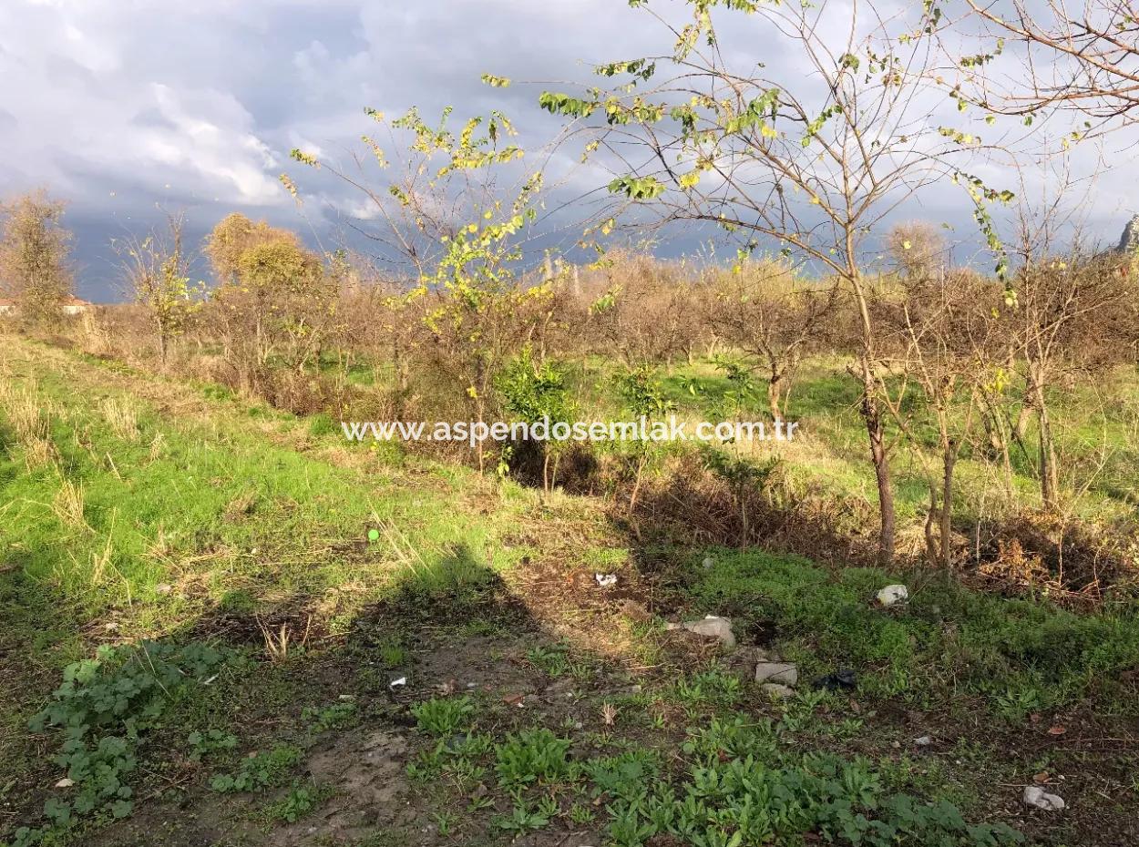 Dalyan Land For Sale Near The Center 3000M2 5% Zoning Land For Sale