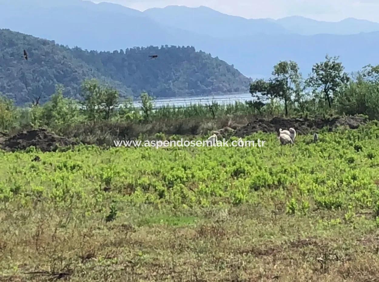 Sultaniye Sultaniye Koycegiz Lake Plot For Sale For Sale In By The Sea