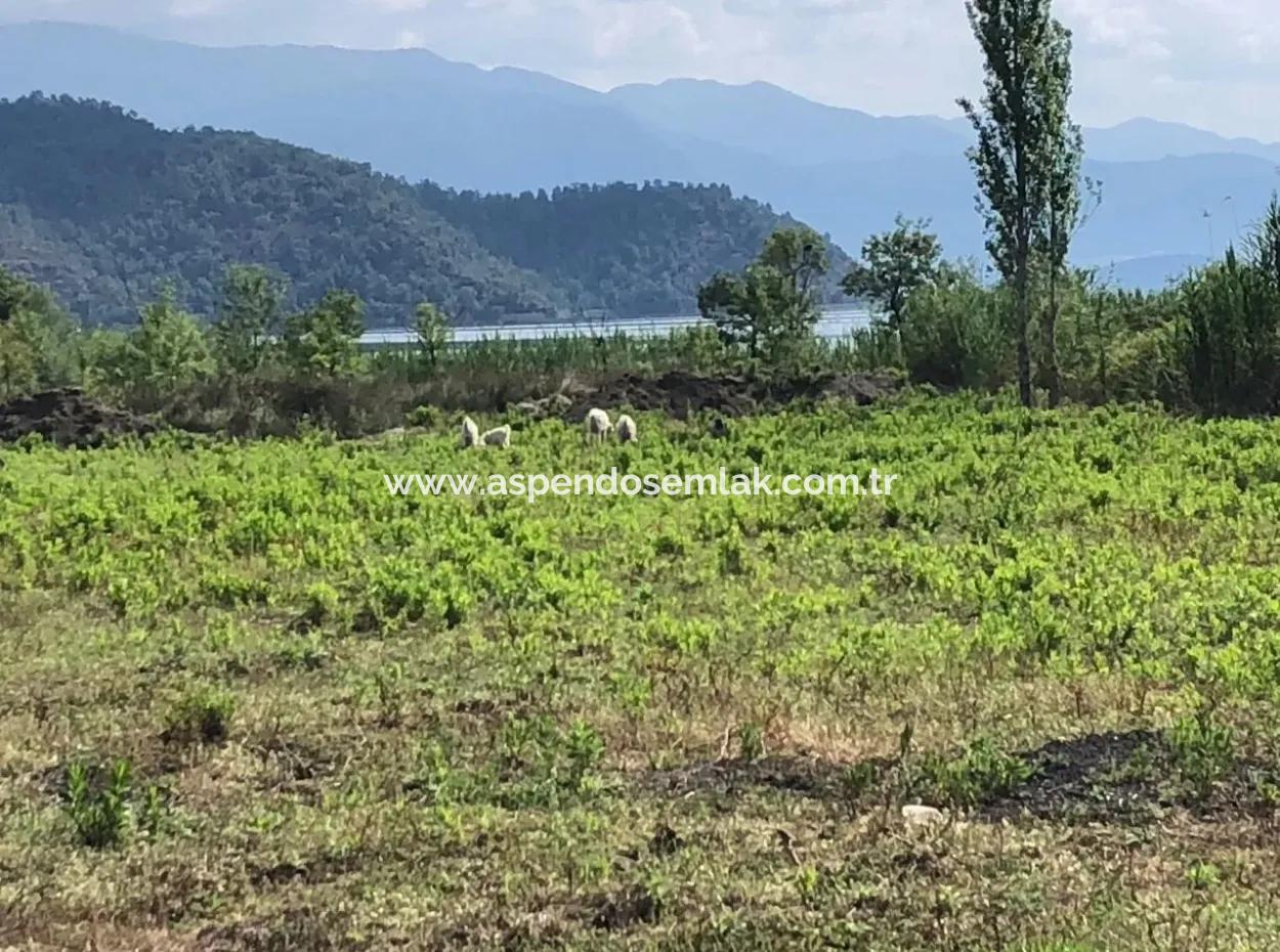 Sultaniye Sultaniye Koycegiz Lake Plot For Sale For Sale In By The Sea