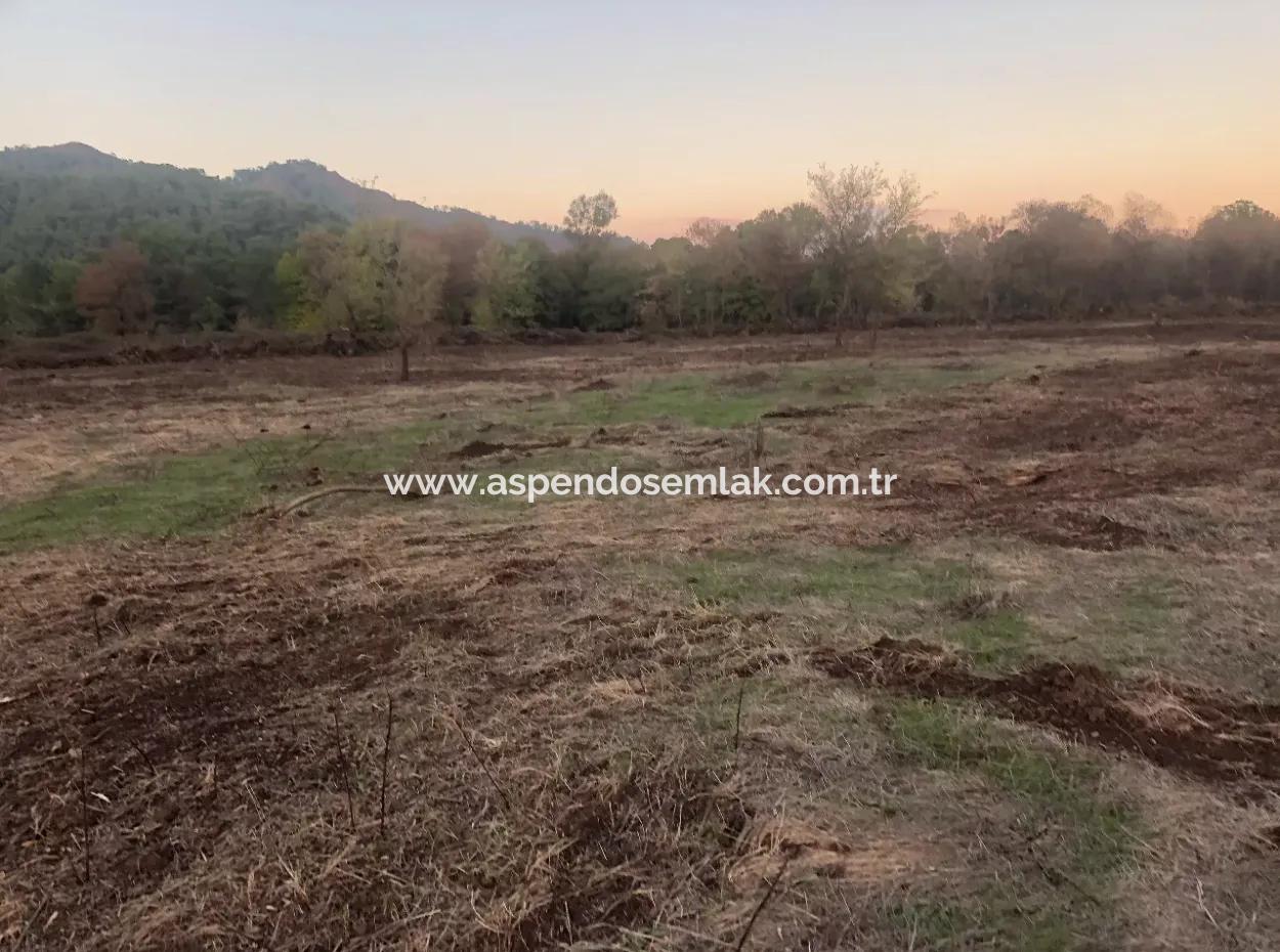 Sultaniye Land For Sale Near 10577M2 Lake Land For Sale