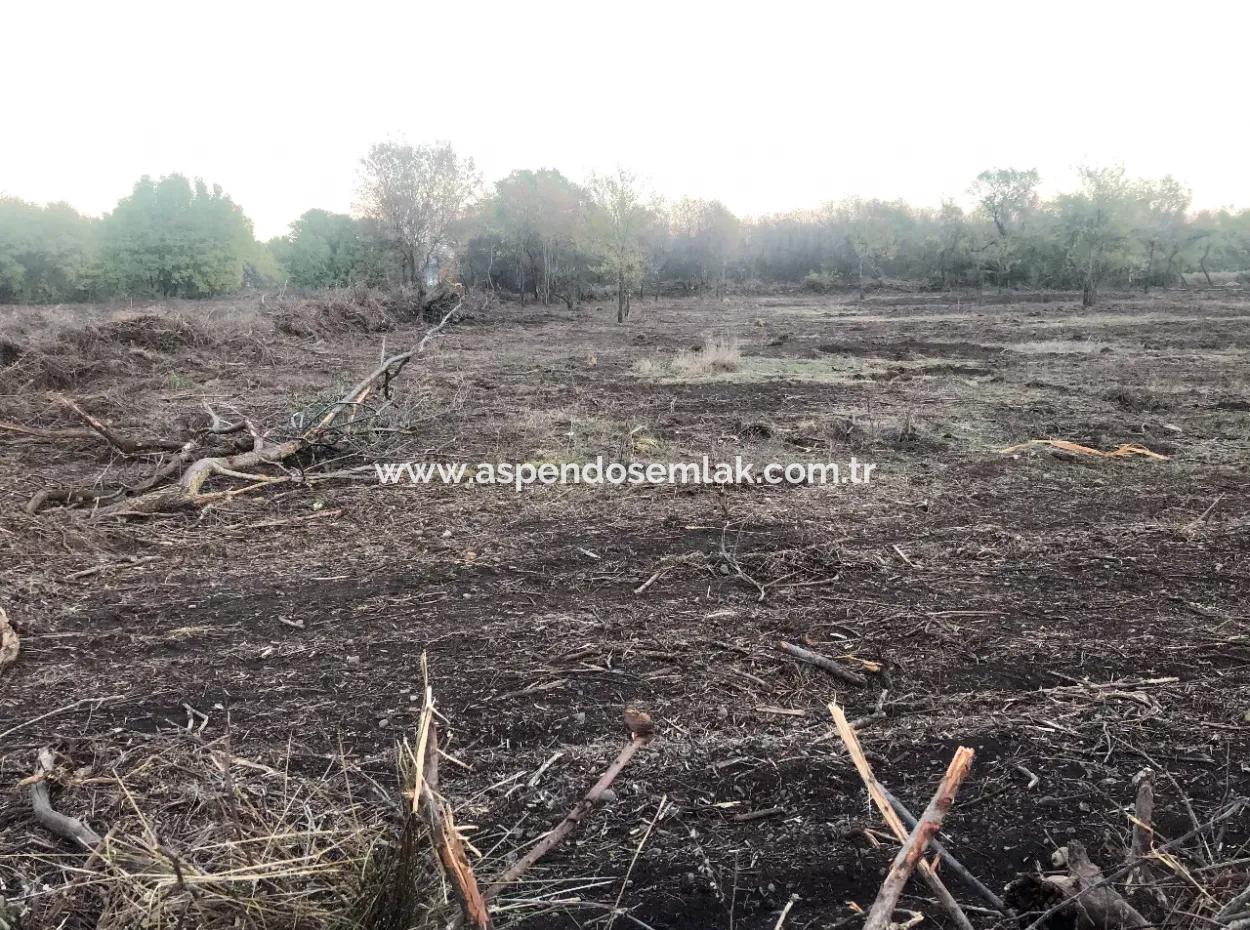 Sultaniye Land For Sale Near 10577M2 Lake Land For Sale