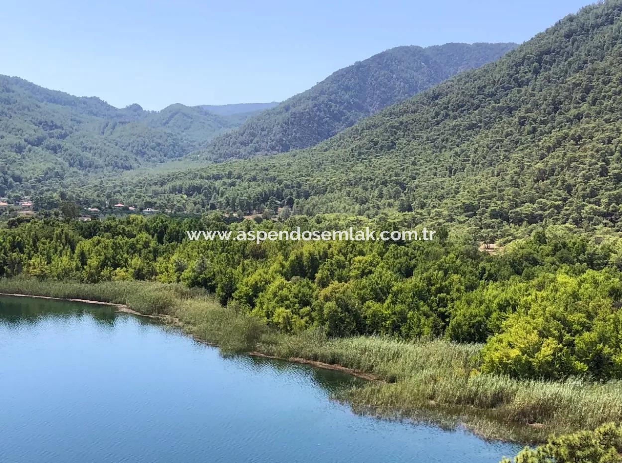 Sultaniye Land For Sale Near 10577M2 Lake Land For Sale