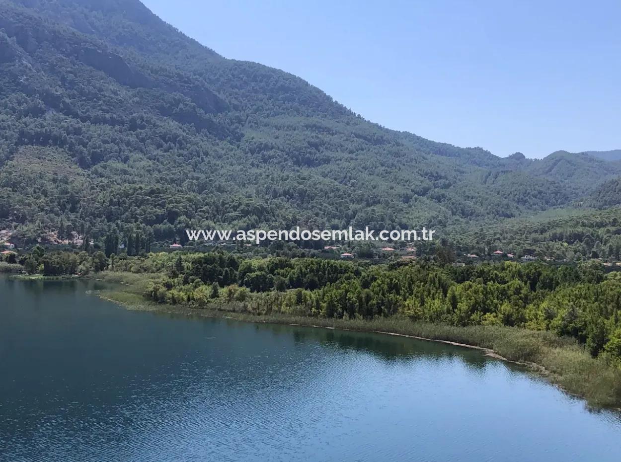 Sultaniye Land For Sale Near 10577M2 Lake Land For Sale