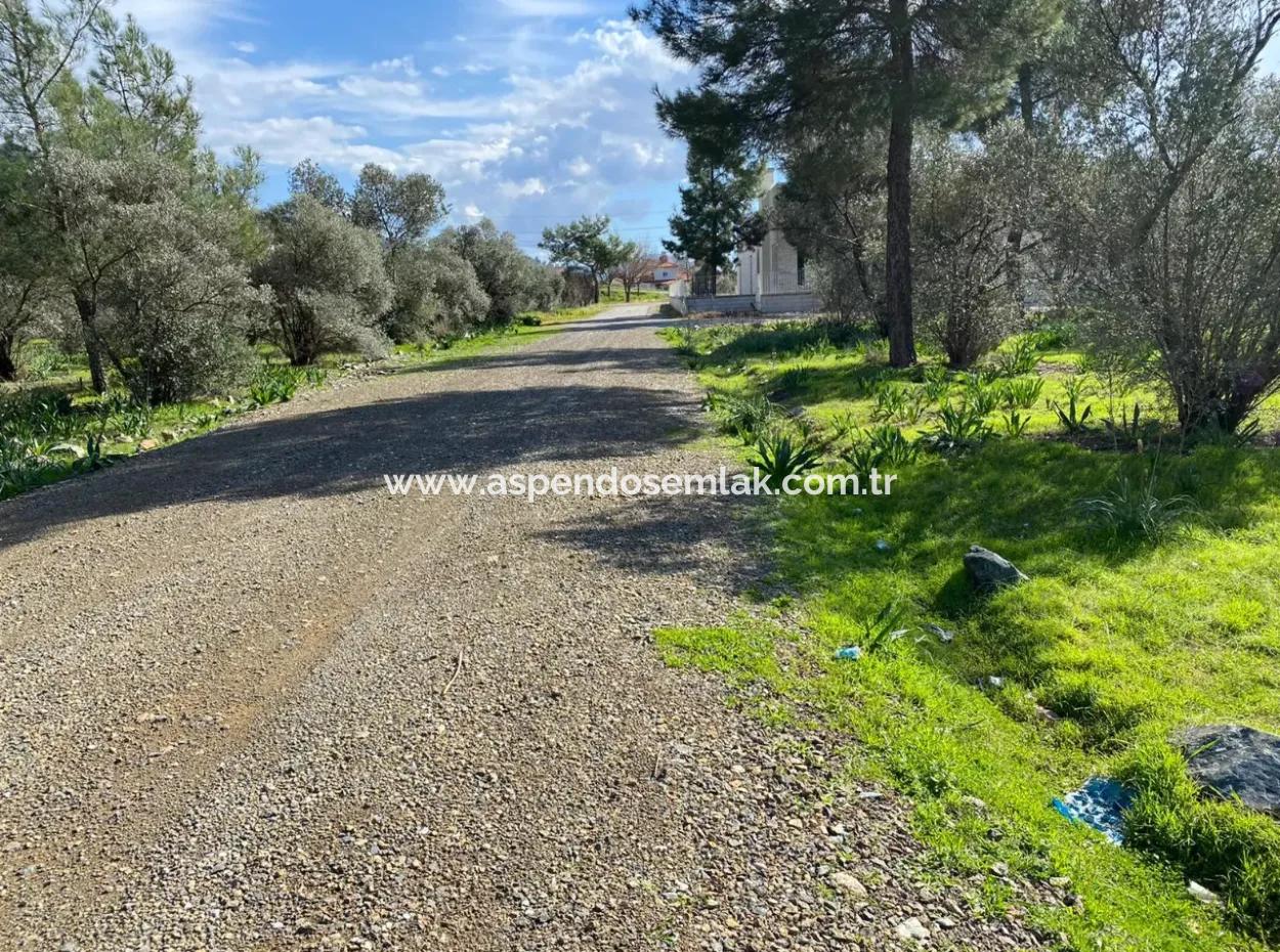 401M2 Land For Sale In Ortaca Cumhuriyet Neighborhood