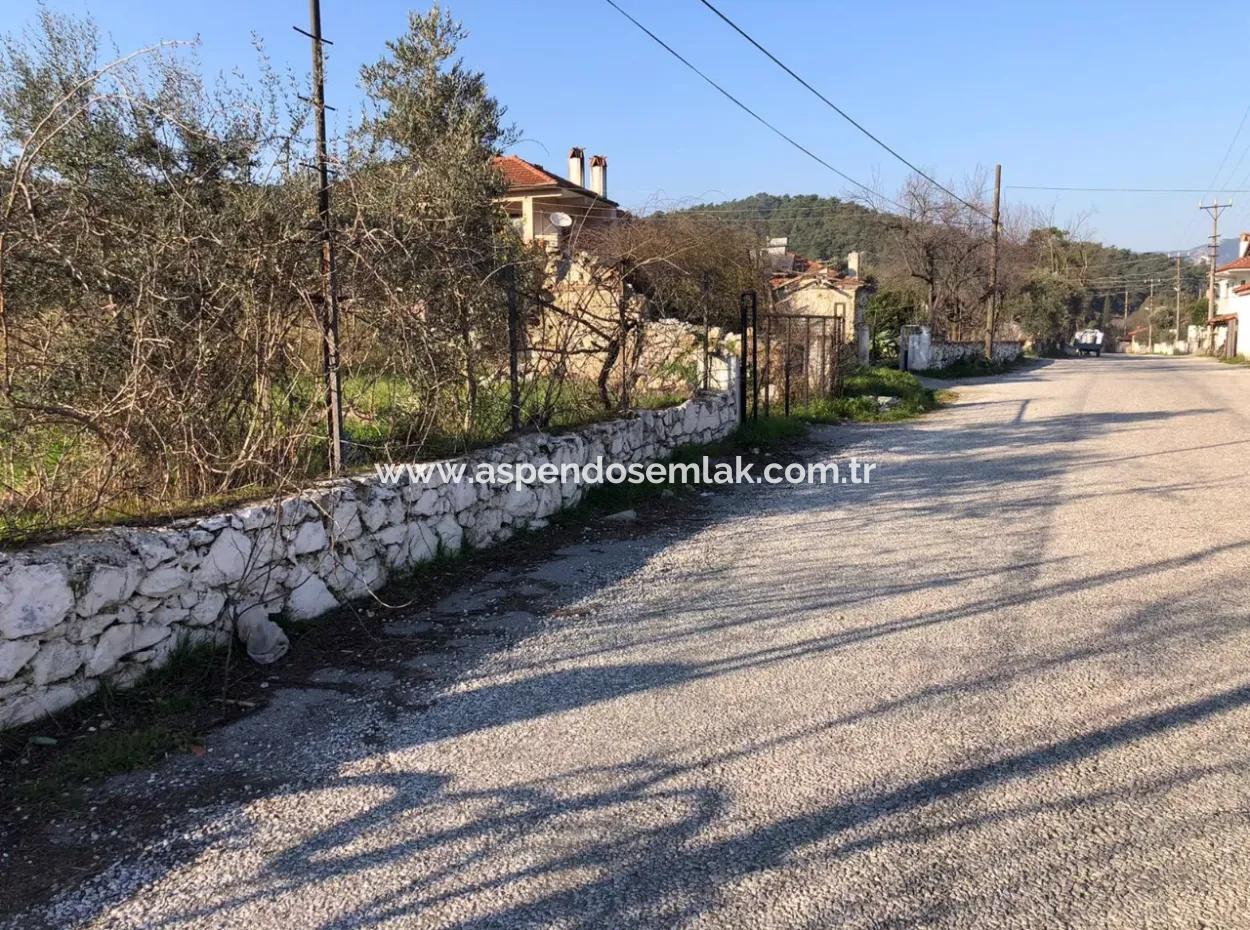 777M2 Land For Sale In Ula Sarayyanı