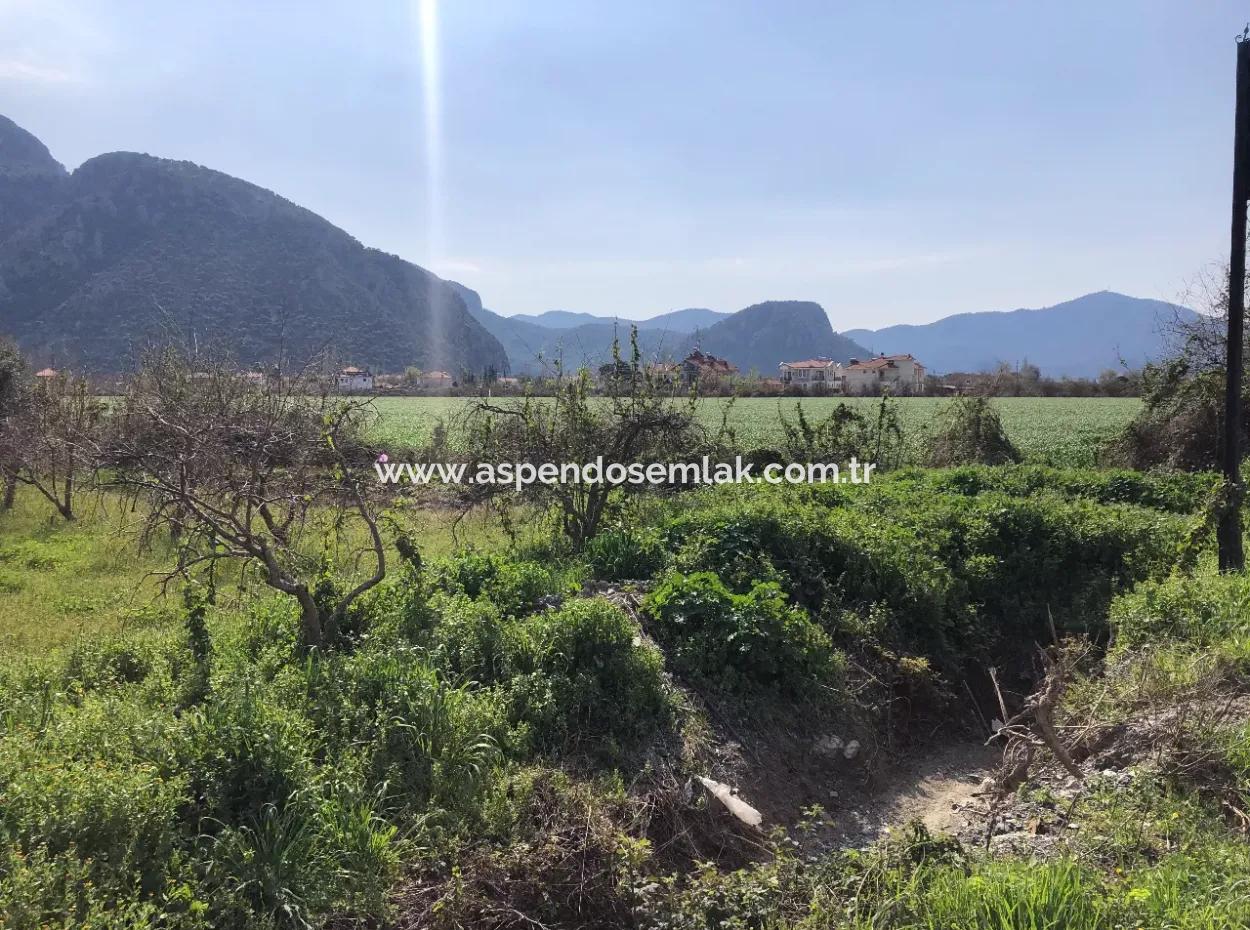 5500M2 Land For Sale In Dalyan