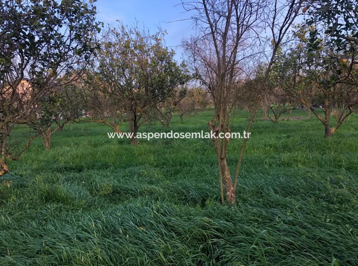 In Okçular Land For Sale 4707M2 Land For Sale