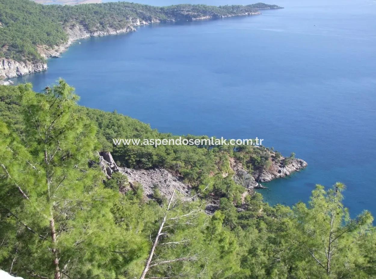 Real Estate Bargain Plot For Sale With Sea Views In Çandır Call In Ekincik