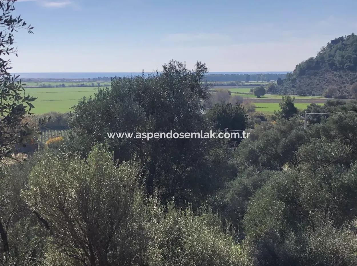 Land For Sale With Sea View Of Fevziye