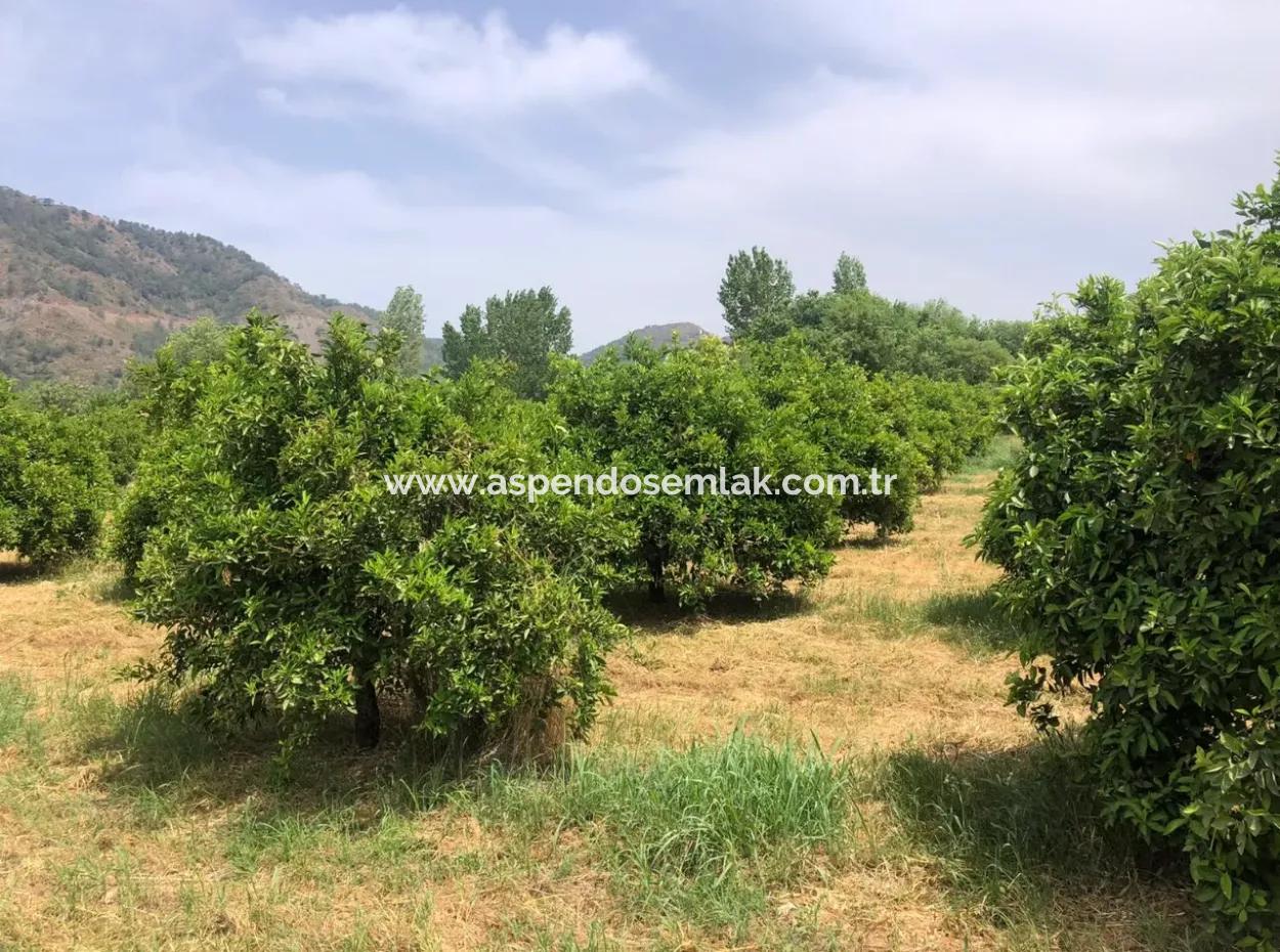 Land For Sale In Sourliyurtda 1085M2