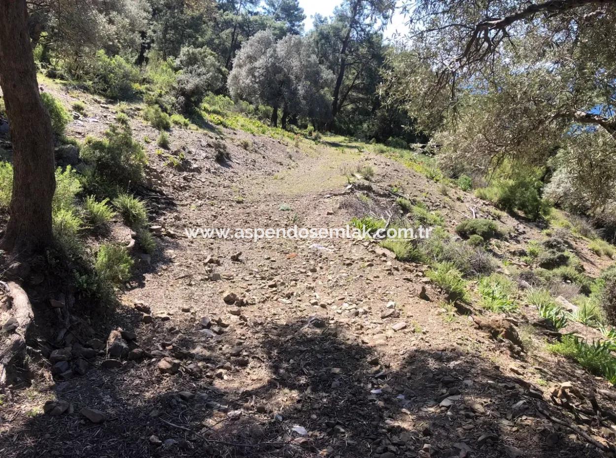 Land For Sale With Sea View In Çandir