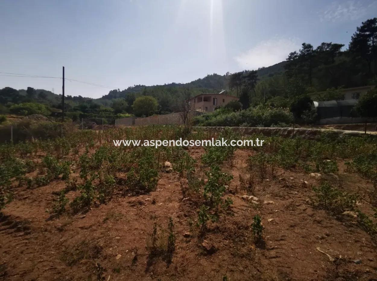 1245M2  Land For Sale In Marmaris Çamlı