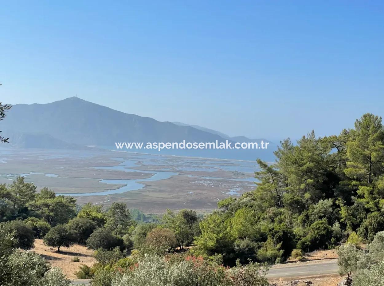2620M2 Land Field For Sale With Sea View Of Çandir