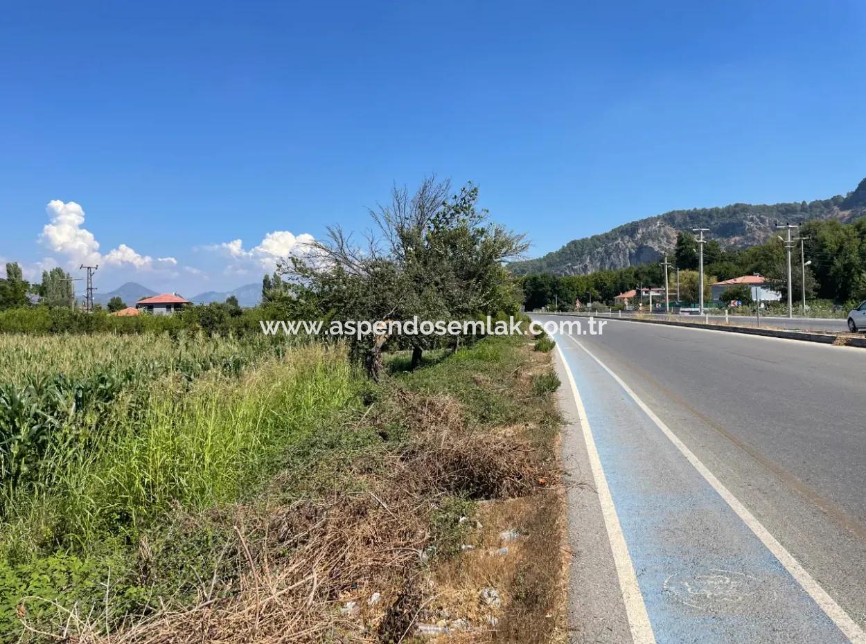 Dalyan Main Road Zero Land For Sale 8115M2 Commercial Land For Sale