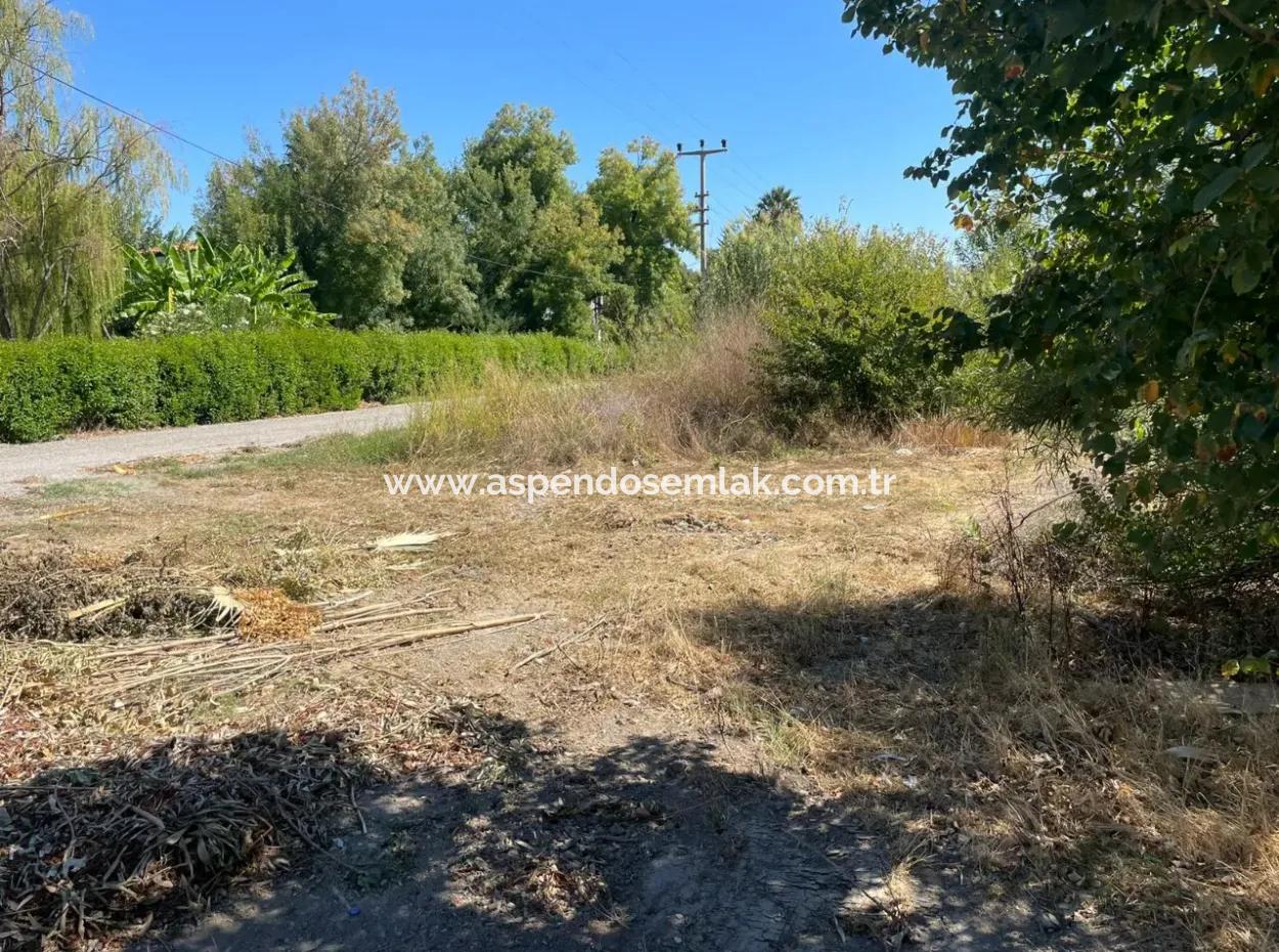 1000M2 Land For Sale In Dalyan Gülpinar Corner