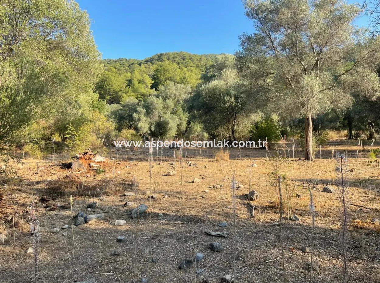 Çandir 3,800M2 Land For Sale