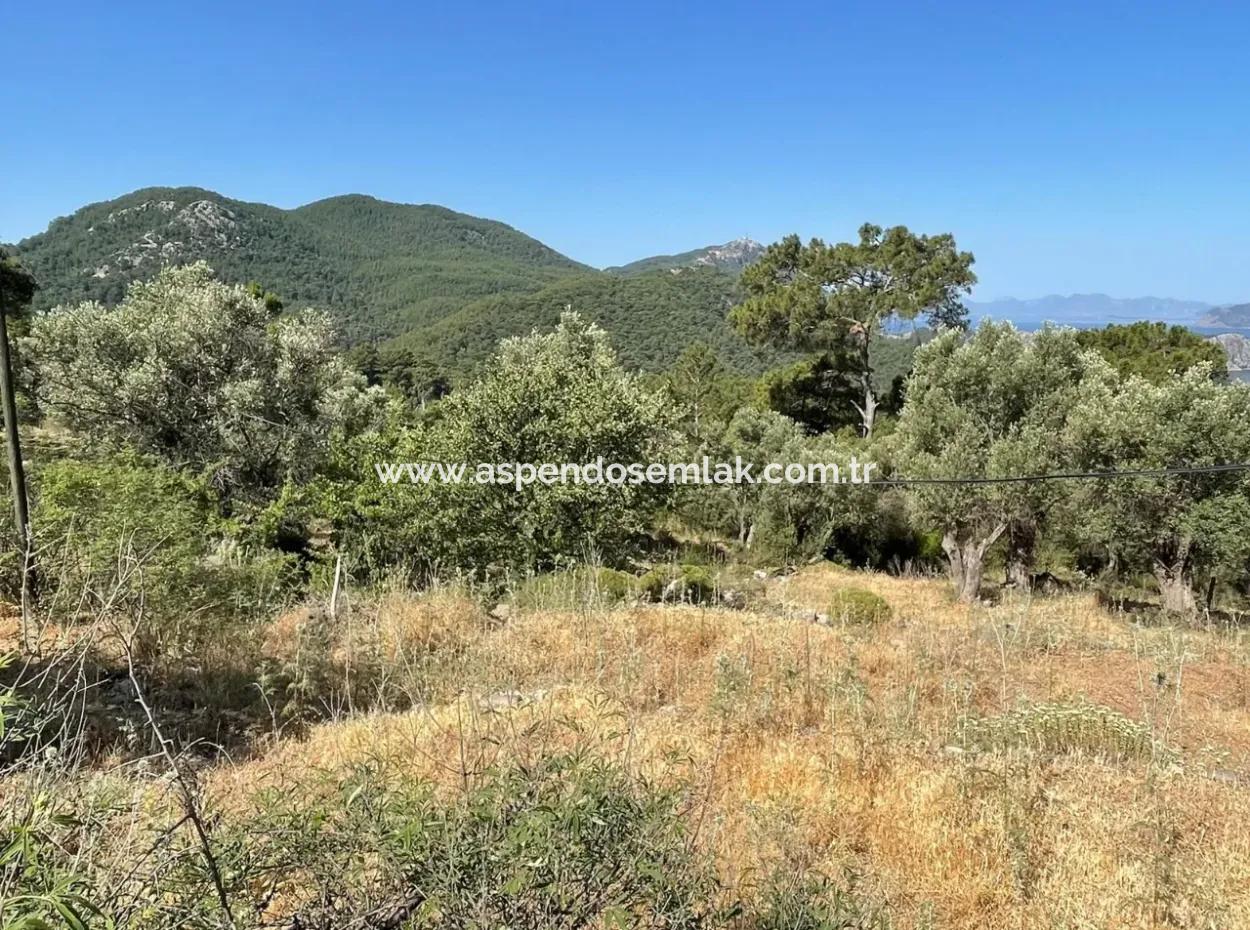 Land For Sale With Sea View In Gokbel