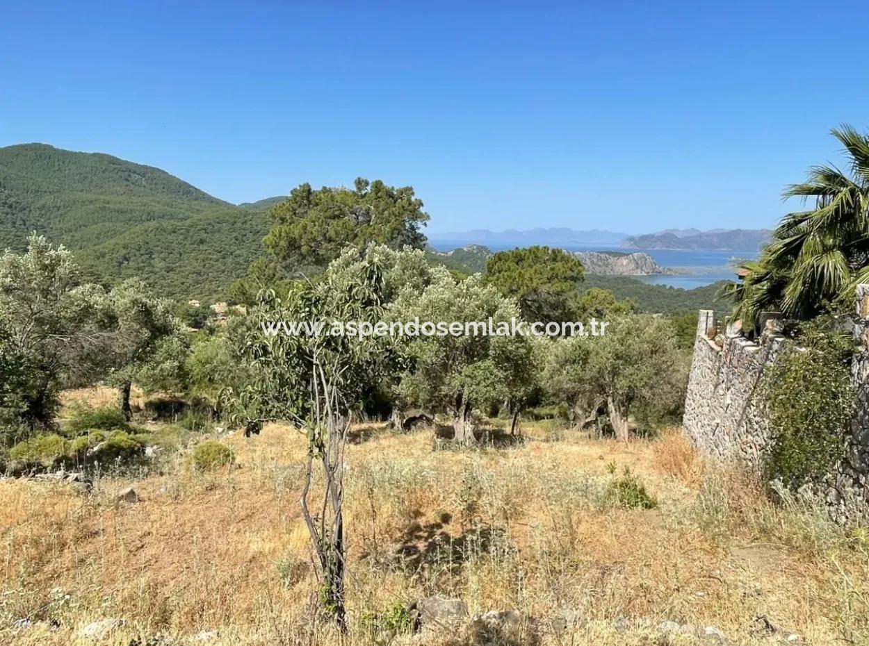 Land For Sale With Sea View In Gokbel