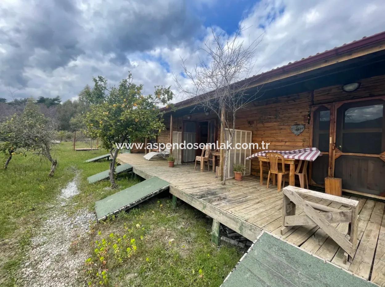 Dalyan Boutique Hotel For Sale Bungolevler For Sale In 11.000M2 Plot