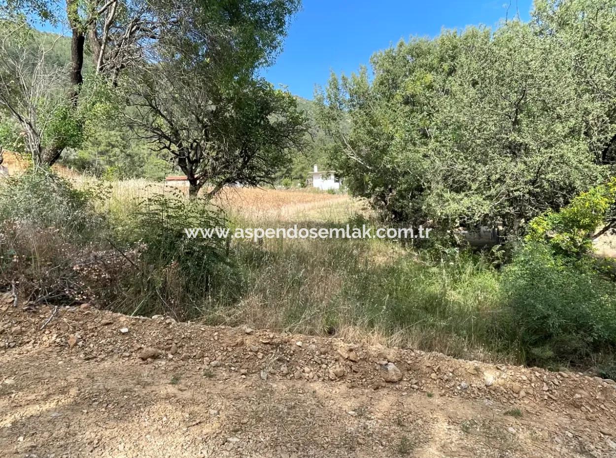 Land For Sale In Ula Armutchuk With 501M2 Zoning