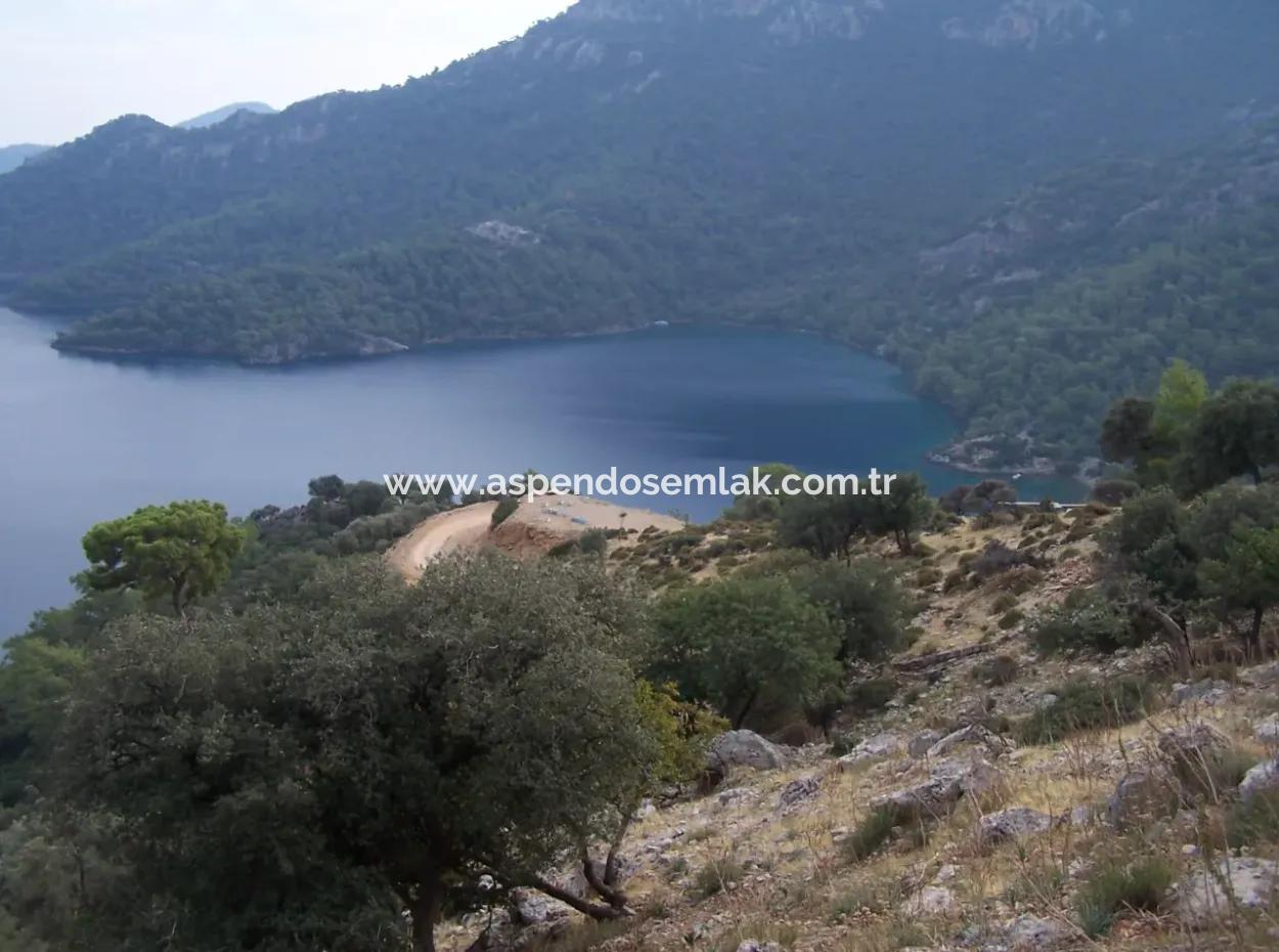 House For Sale In Sarsalada Sea View 4274M2 Plot