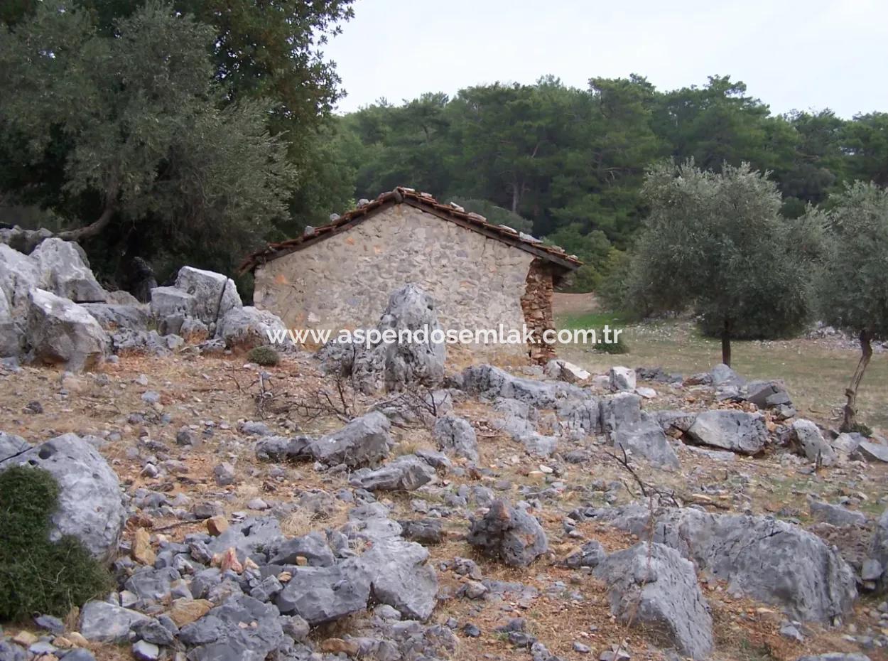 House For Sale In Sarsalada Sea View 4274M2 Plot