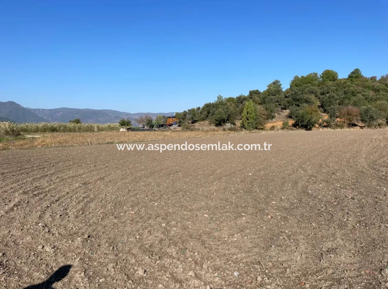 6254M2 Field For Sale Near Dalyan In Eskiköy