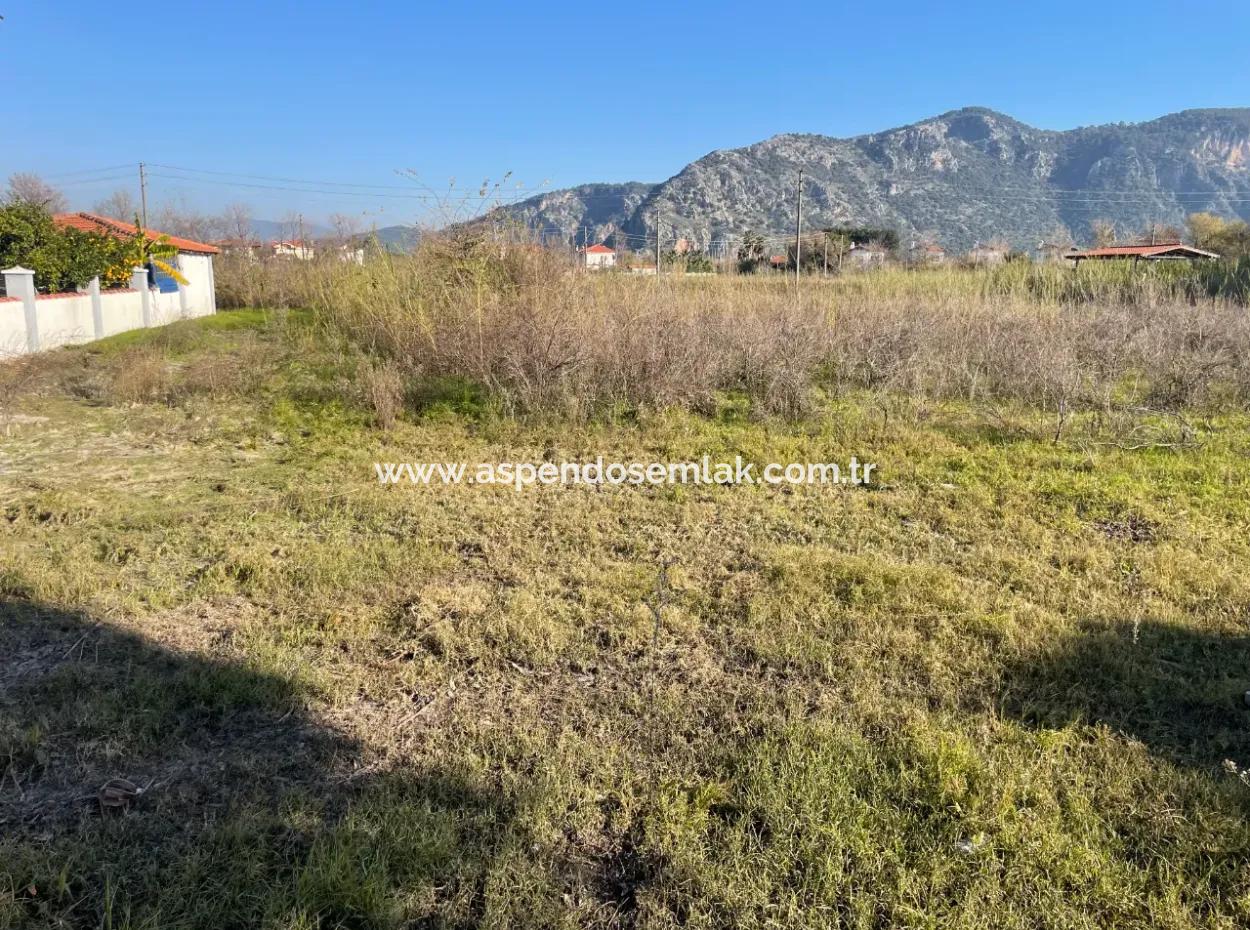Dalyan 1000M2 Köşebaşı Land For Sale