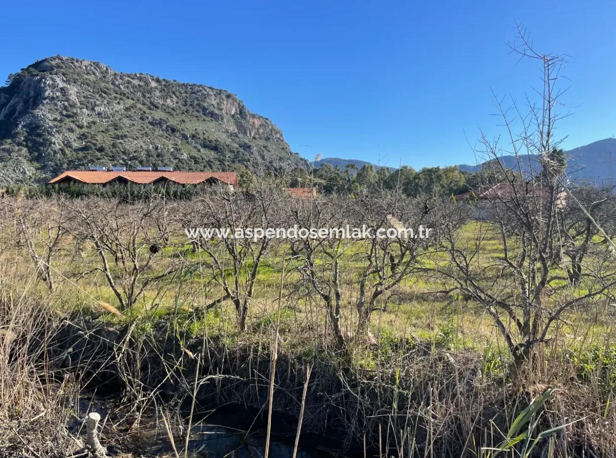Dalyan Iztuzu Road Zero 5216M2 Field Plot For Sale