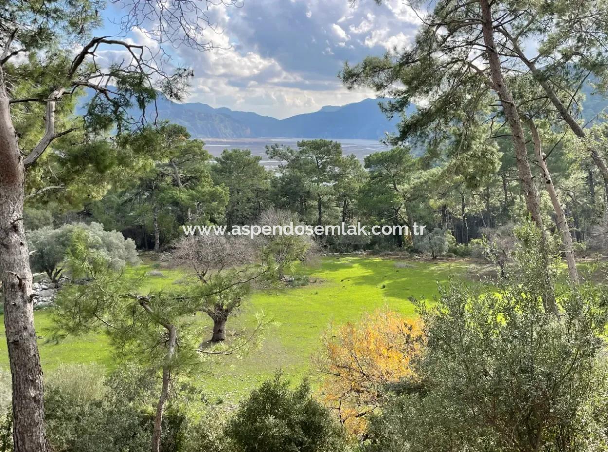 10,707M2 2B Field For Sale With Sea Lake View In Çandır