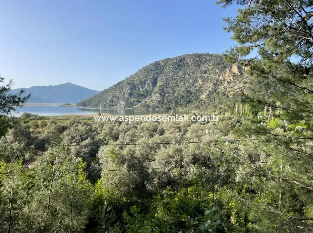1,136M2 Field Plot For Sale With Çandır Lake View