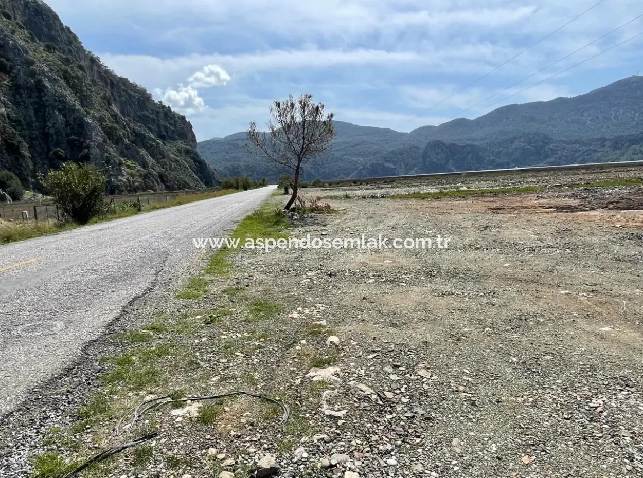 Dalyan Iztuzu Beach Road Zero 19,600M2 Field Land For Sale