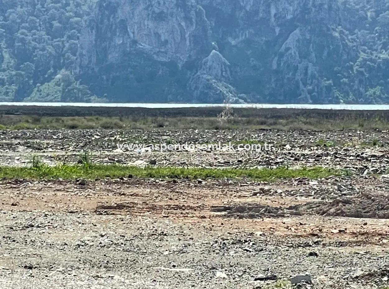 Dalyan Iztuzu Beach Road Zero 19,600M2 Field Land For Sale