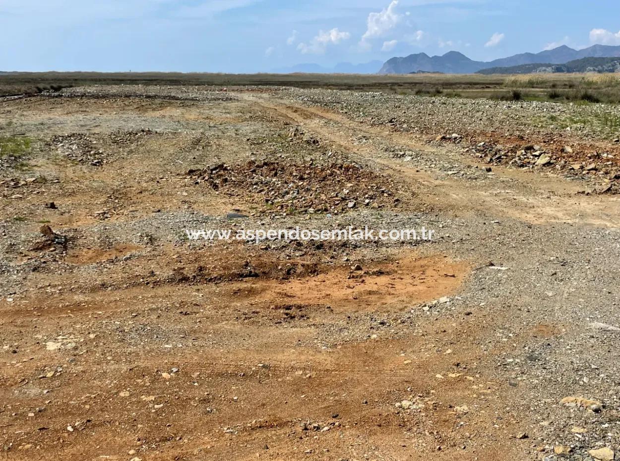Dalyan Iztuzu Beach Road Zero 19,600M2 Field Land For Sale