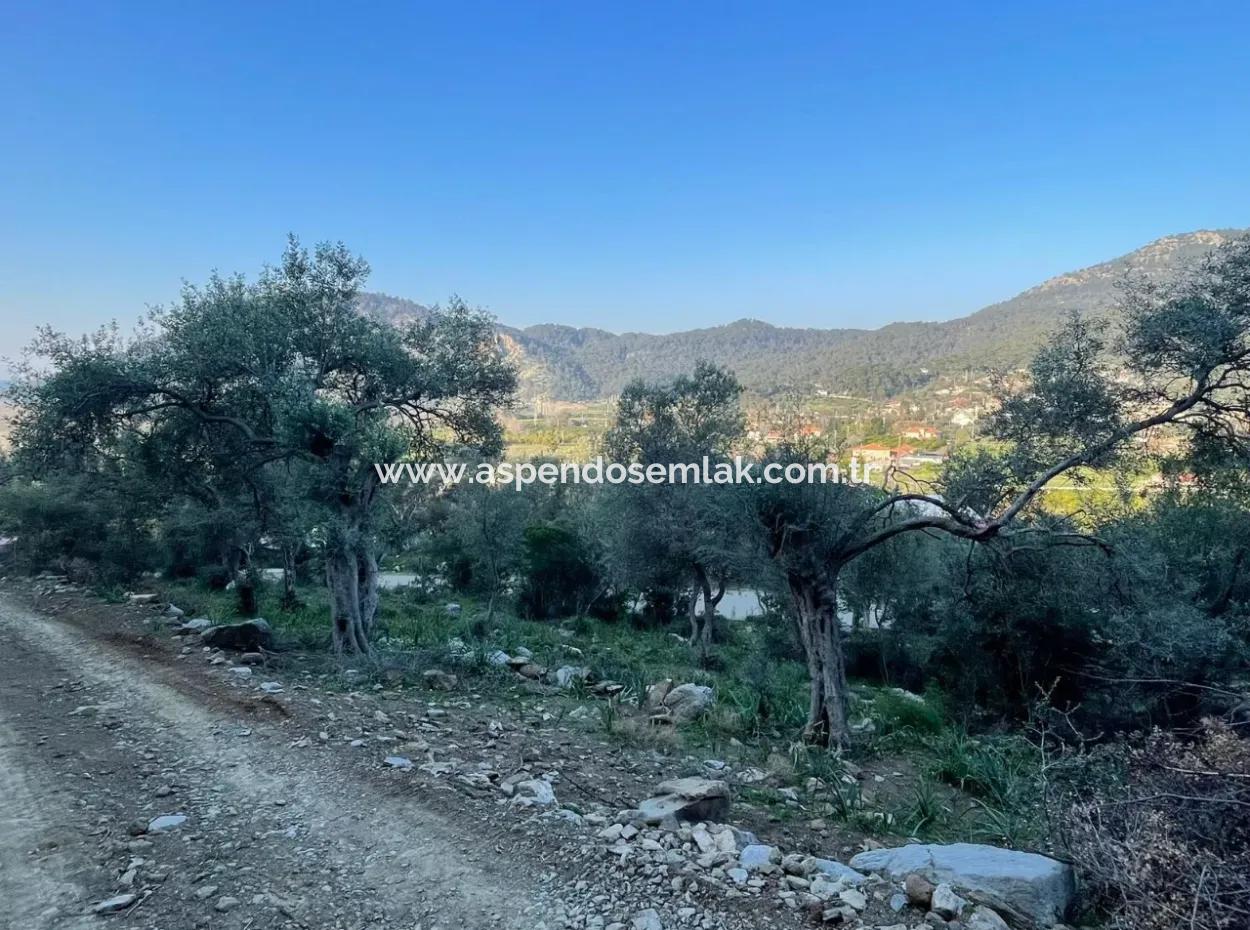 Çandır Lake Sea View 2,806M2 2B Field For Sale