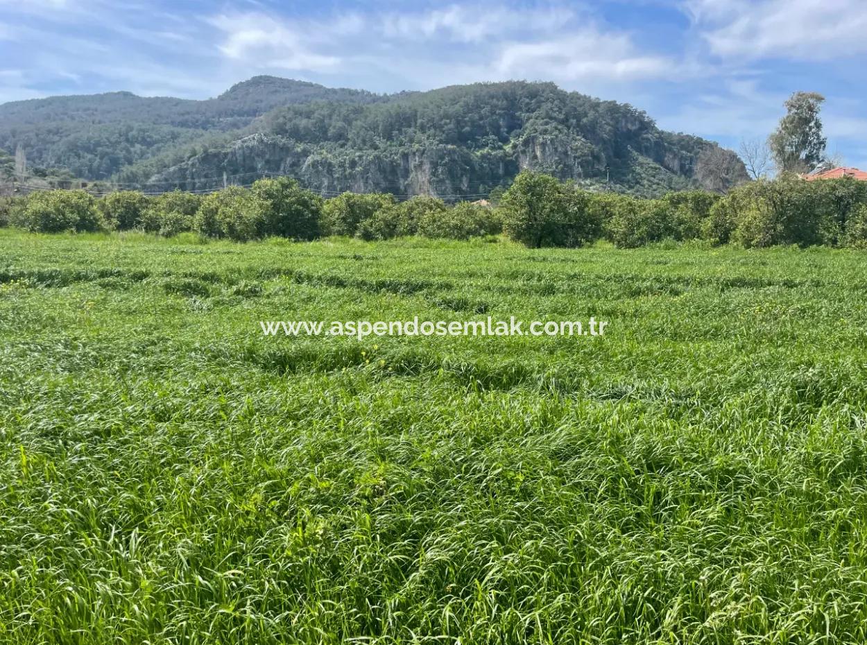 736M2 Land For Sale In Okçular