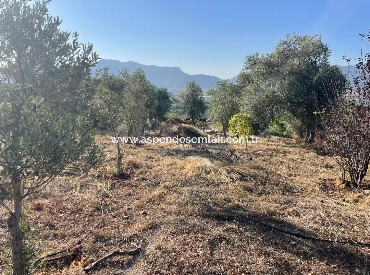 Çandır Full Sea And Lake View 500M2 2B Field For Sale