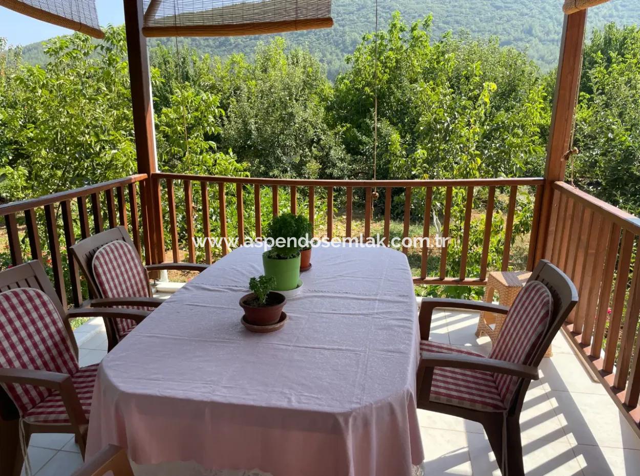 Muğla Ula Köprübaşı Mahallesin In 2378M2 Land In 3 1 Vlla For Sale