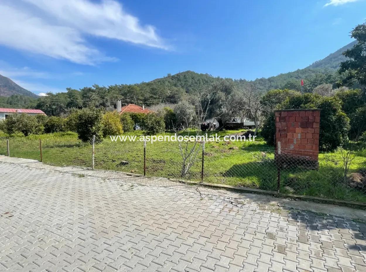 Sultaniye Büyükkaraç Mahallesin For Sale Field