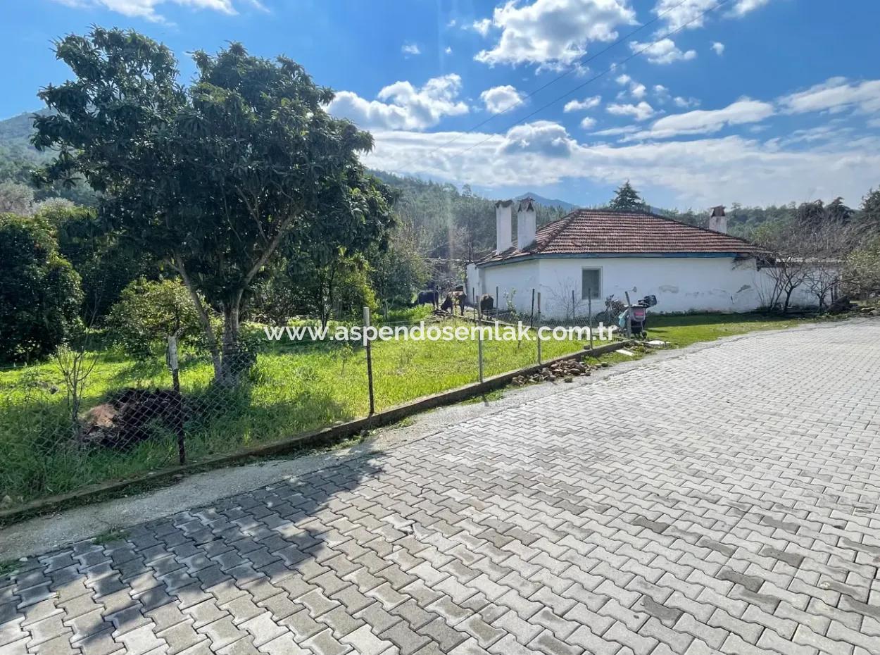 Sultaniye Büyükkaraç Mahallesin For Sale Field