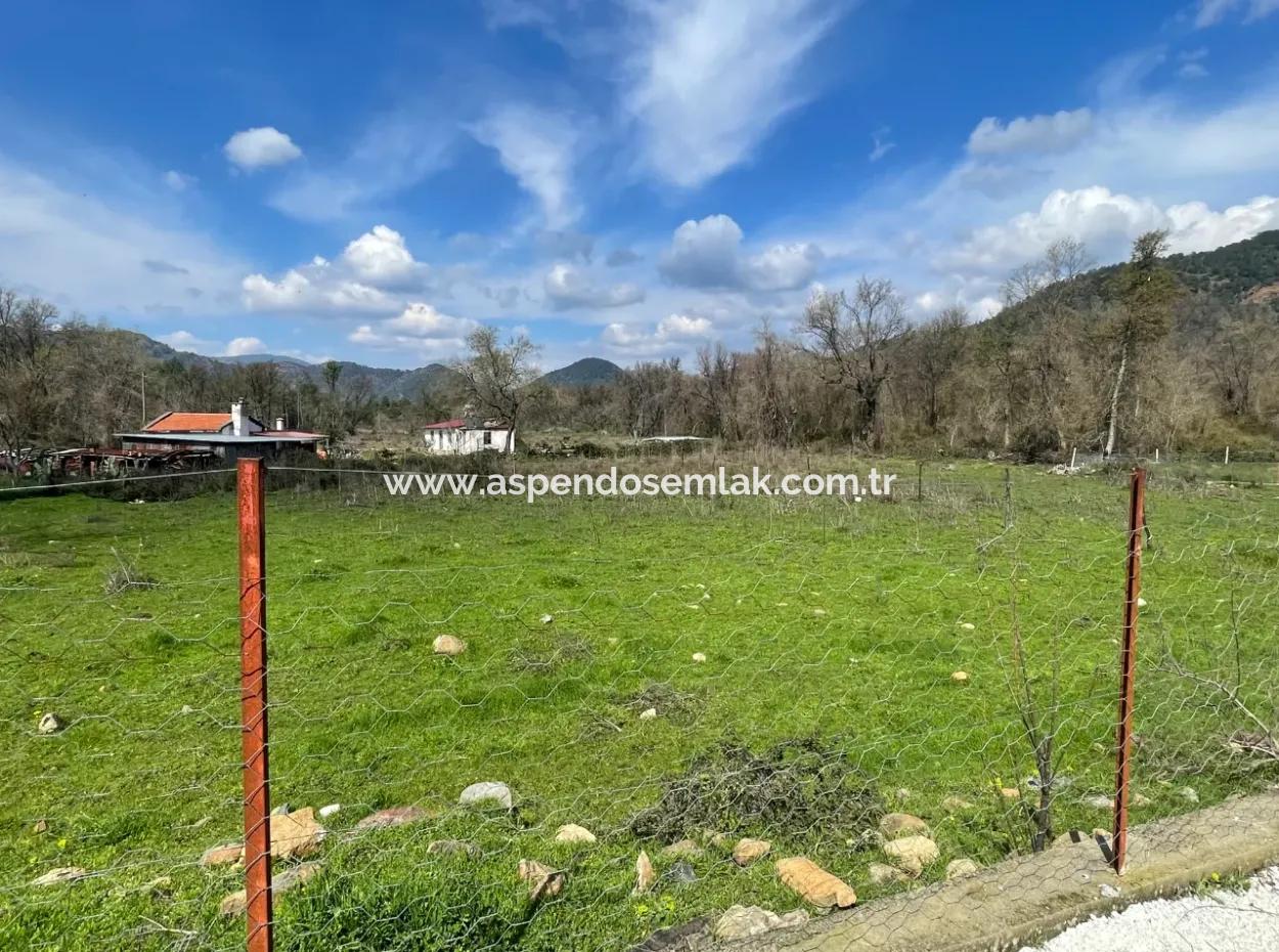 Sultaniye Büyükkaraç Mahallesin For Sale Field