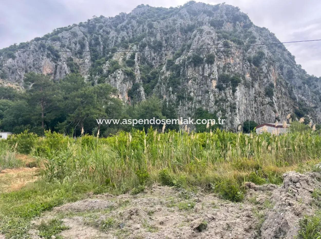 Field For Sale 6500M2 In Dalyan