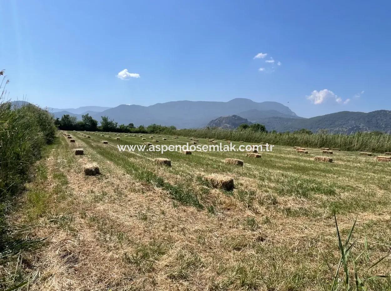 6,500M2 Field For Sale On The Iztuzu Road In Dalyan