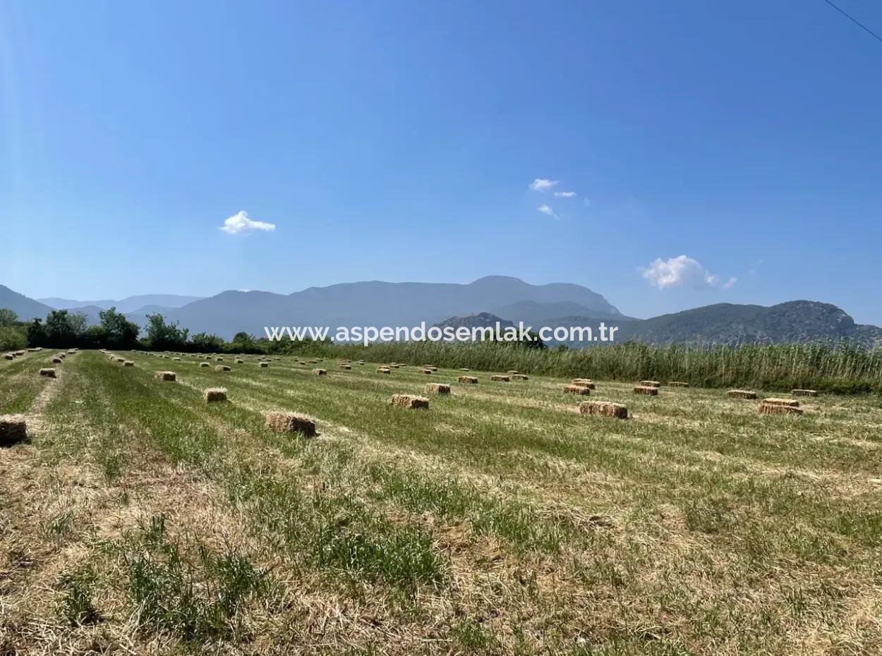 6,500M2 Field For Sale On The Iztuzu Road In Dalyan