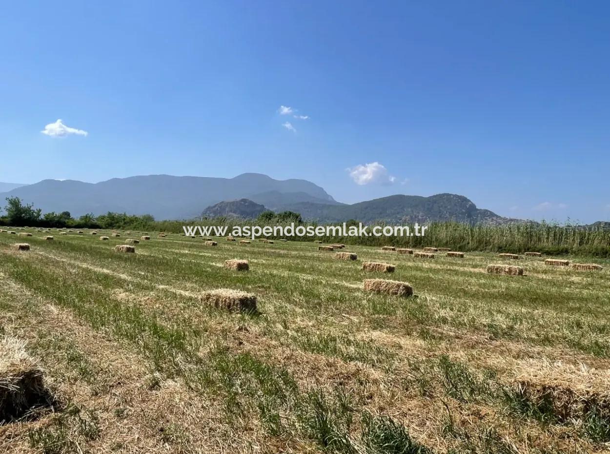 6,500M2 Field For Sale On The Iztuzu Road In Dalyan