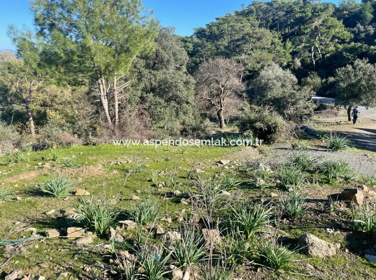 2B Land For Sale With Sea View In Çandır