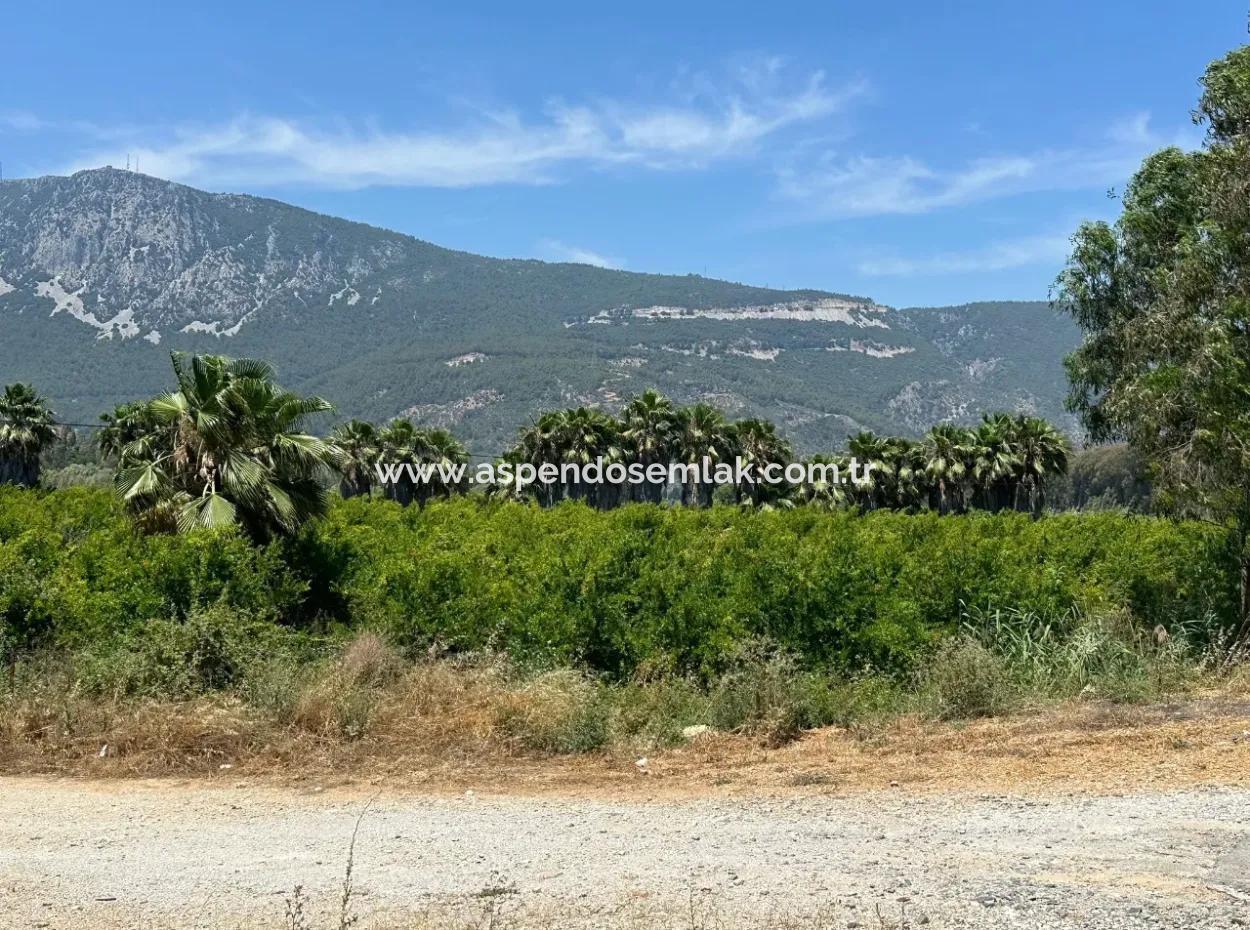 13,500M2 Roadfront Field For Sale In Akyaka Akçapınar